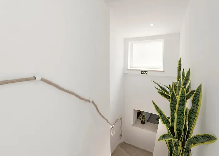 Surf & Chill Peniche Atouguia Da Baleia